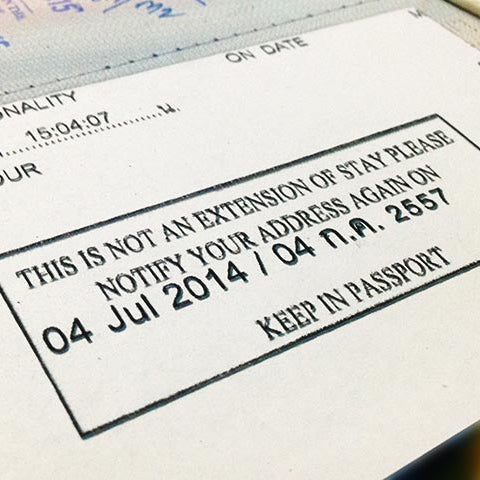 90 Day Report - online